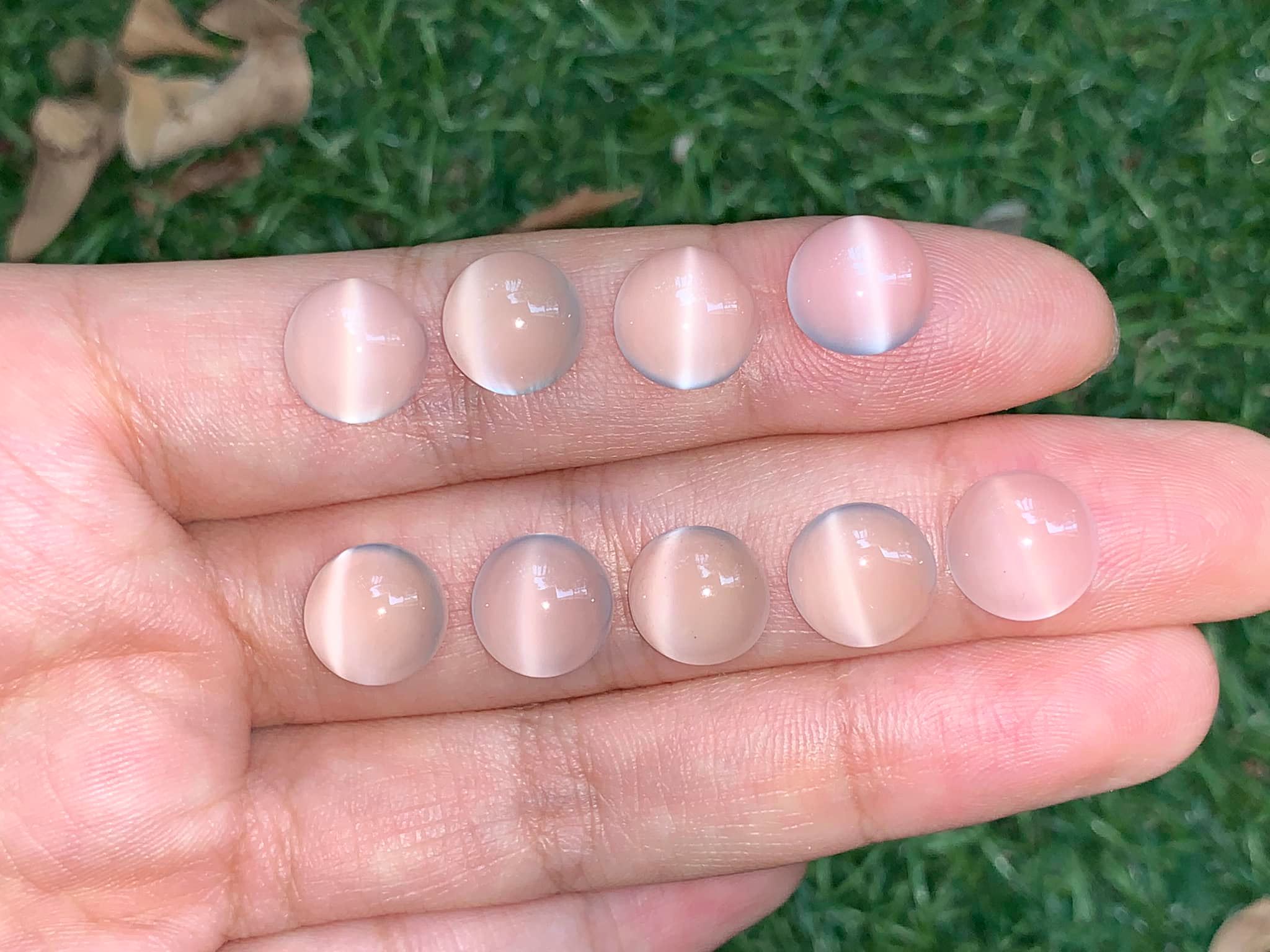 มูนสโตนกลมหลังเบี้ย 10 mm. 1 เม็ด