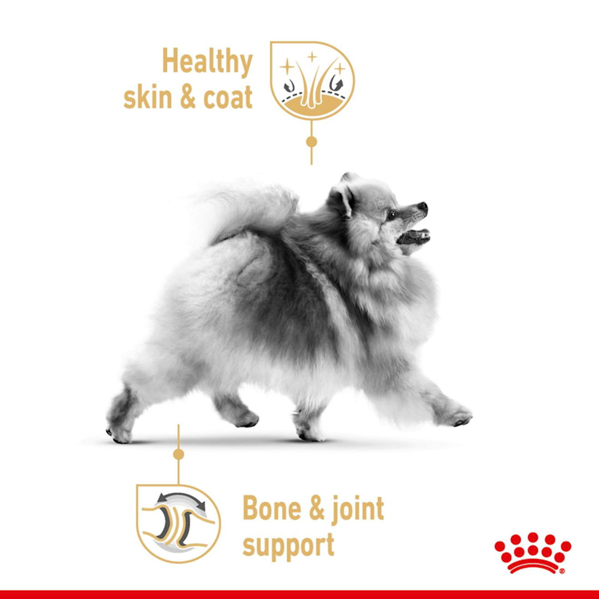 [ยกกล่อง 12 ซอง] Royal Canin Breed Health Pouch Loaf อาหารเปียกสุนัขโต อายุ10เดือนขึ้นไป (โลฟ,โรยัล คานิน) ขนาด 85g
