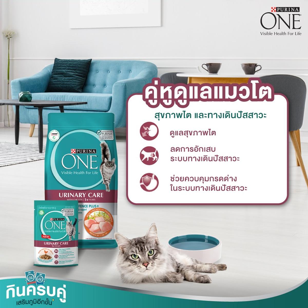 Purina One อาหารแมว เพียวริน่าวัน ขนาด 380-400G