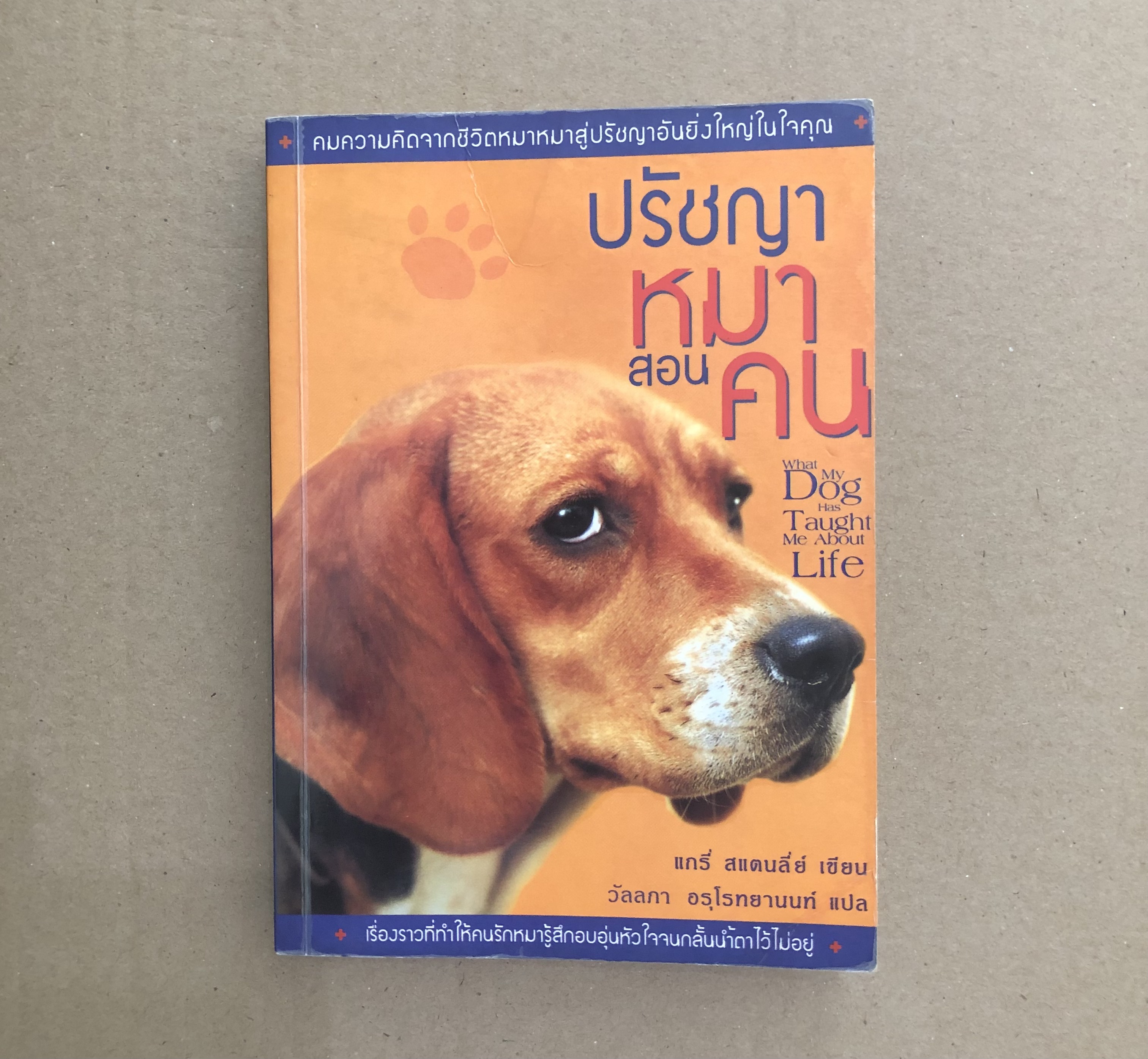 ปรัชญาหมาสอนคน