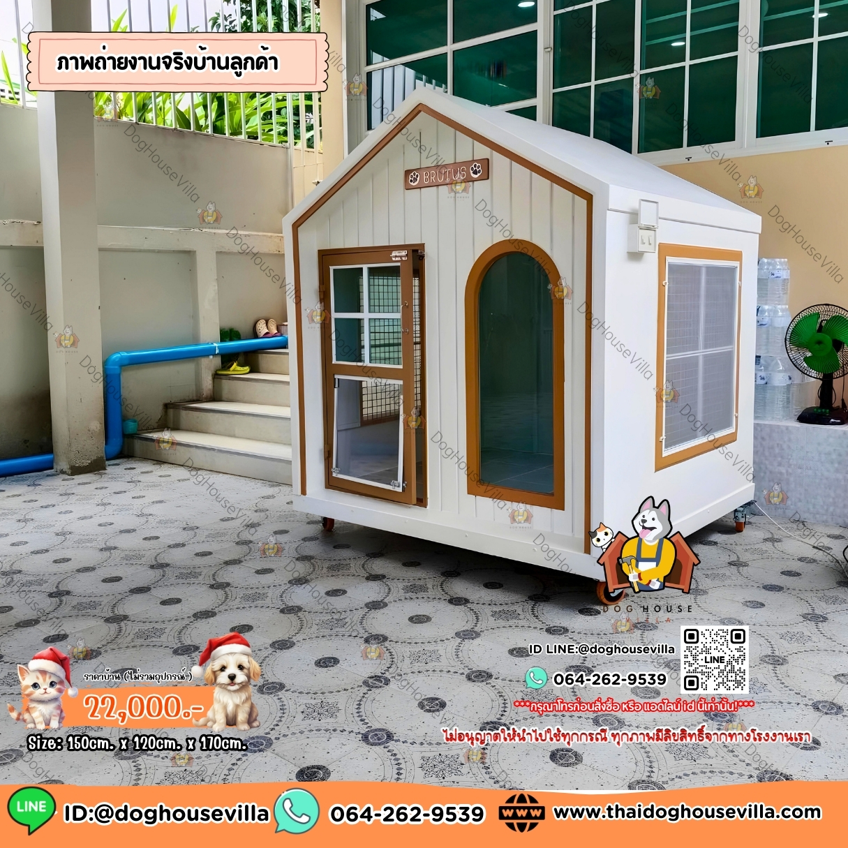 บ้านหมา บ้านแมว DogHouseVilla บ้านสุนัขกลางแจ้ง
