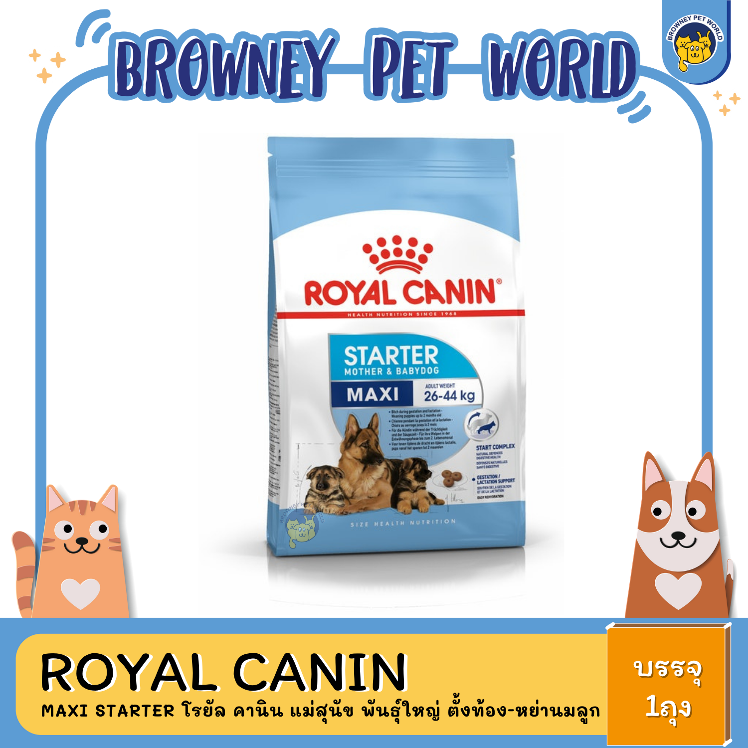 Royal Canin Maxi Starter โรยัล คานิน แม่สุนัข พันธุ์ใหญ่ ตั้งท้อง-หย่านมลูก