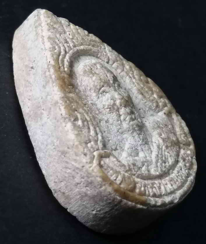 รหัสสินค้าพิจิตร 011 พระผงหลวงพ่อขวัญปวโรจังหวัดพิจิตร พิมพ์หยดน้ำเนื้อผงน้ำมันสร้างปี 2539 ที่ระลึกทำบุญอายุครบ 89 ปี