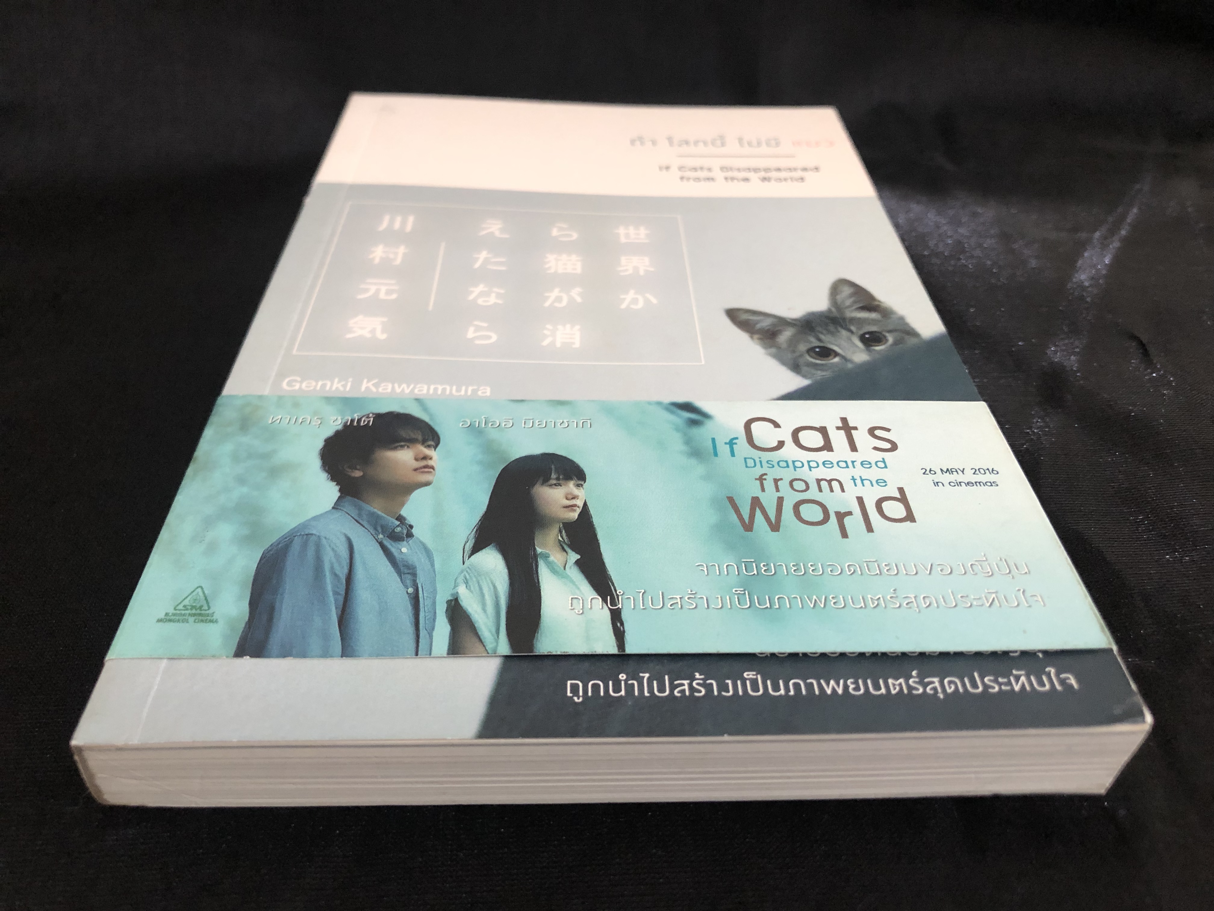 ถ้าโลกนี้ไม่มีแมว If Cats Disappeared From The World