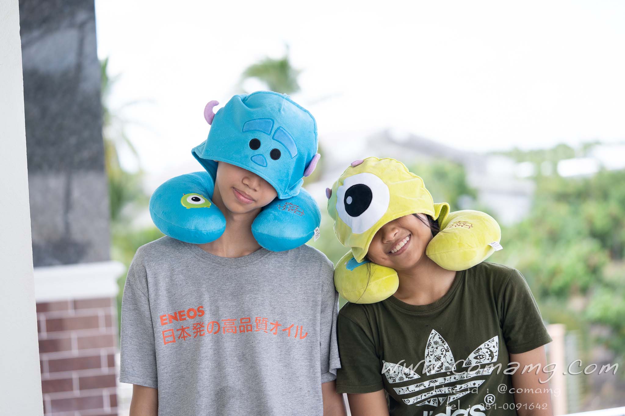 หมอนรองคอมีหมวก ไมค์&ซัลลี่ย์ (ในเรื่องMonster)