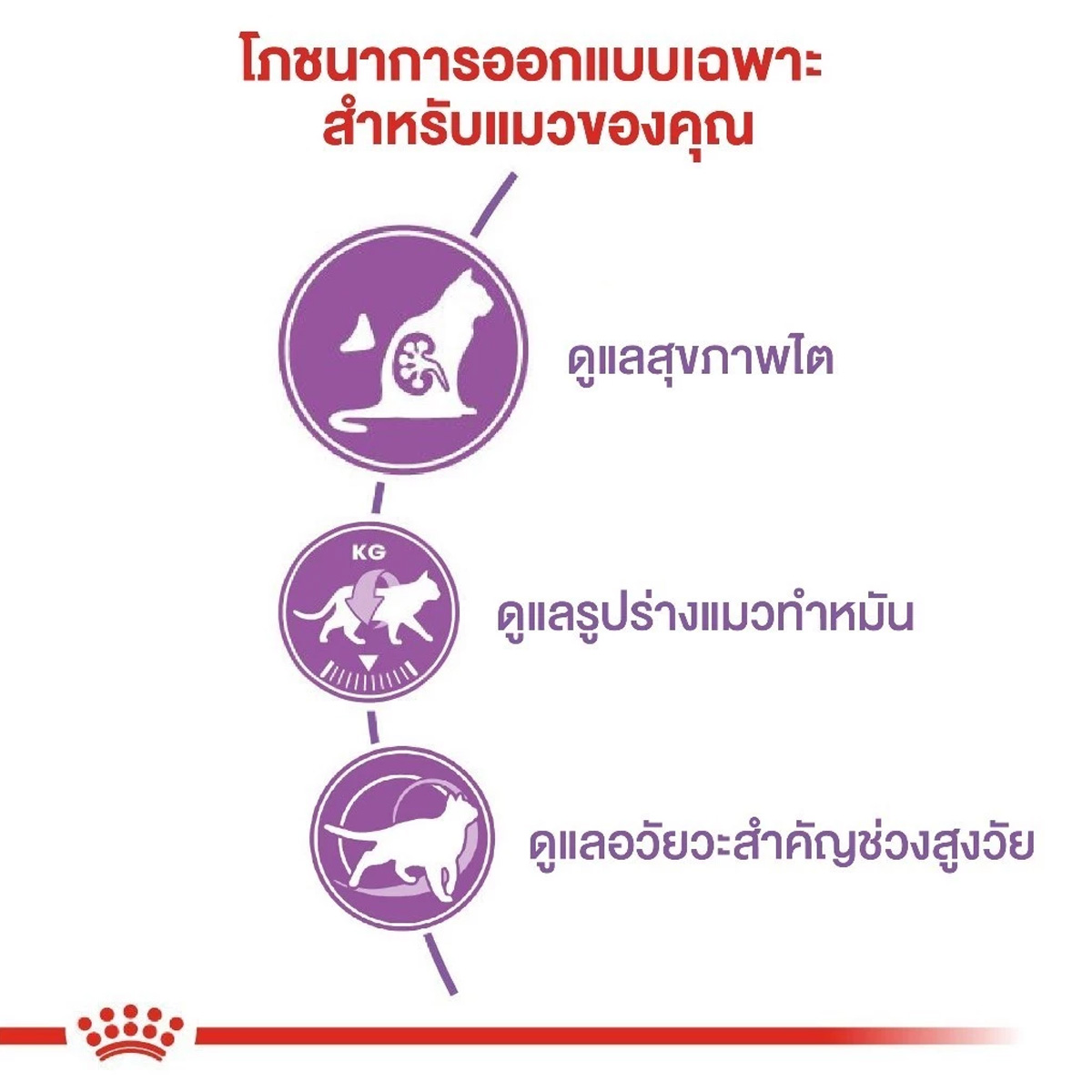 Royal Canin Sterilised 7+ 400g โรยัล คานิน อาหารเม็ดแมวสูงวัย ทำหมัน อายุ 7 ปีขึ้นไป (Dry Cat Food)