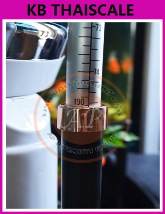 ตาชั่งน้ำหนักคน เครื่องชั่งน้ำหนักคน เครื่องชั่งพร้อมวัดส่วนสูง พิกัด160kg ละเอียด500g ZEPPER ZT-160 วัดส่วนสูง70-190cm (เเท่นหนาพิเศษ)