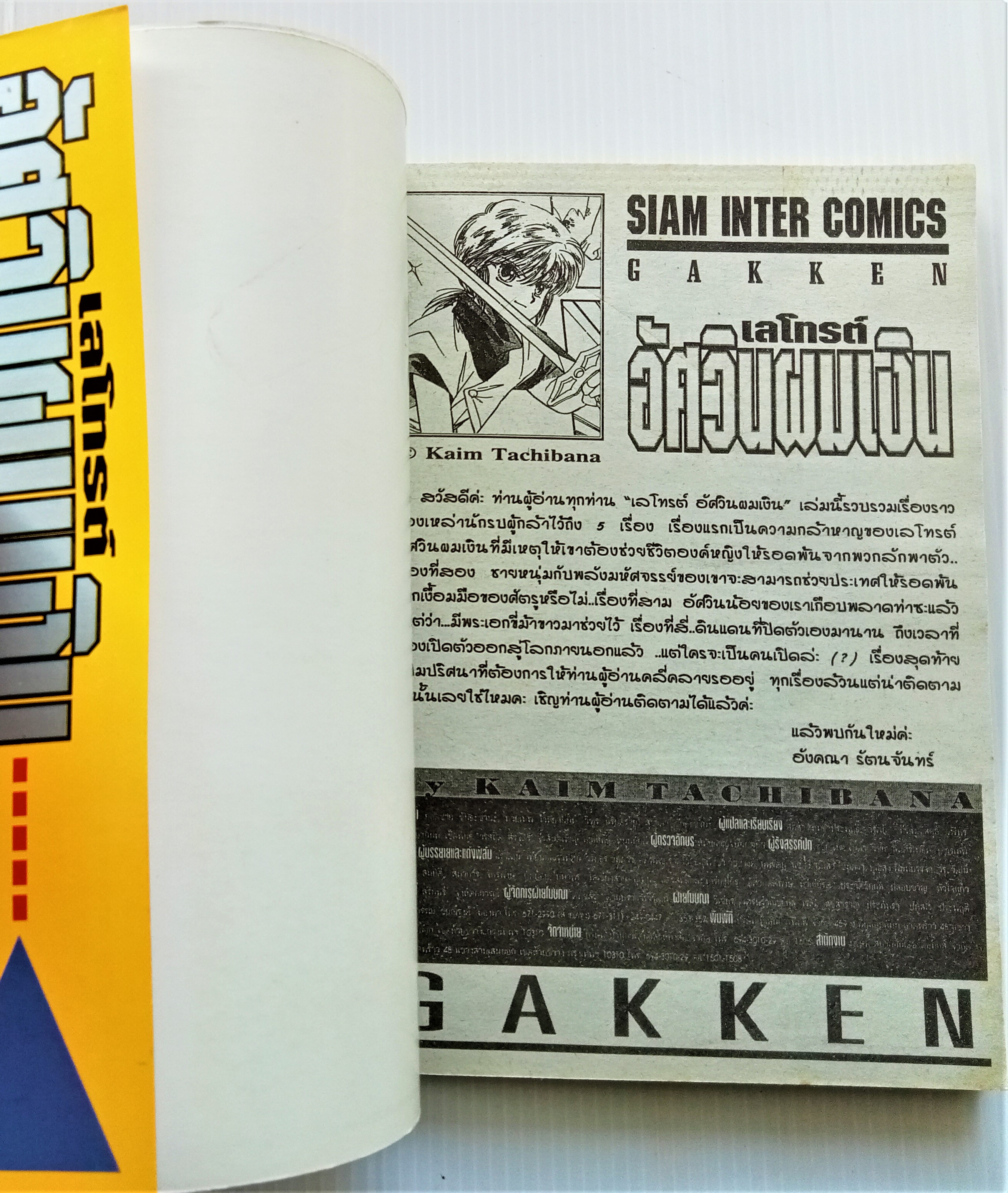 อัศวินผมเงิน