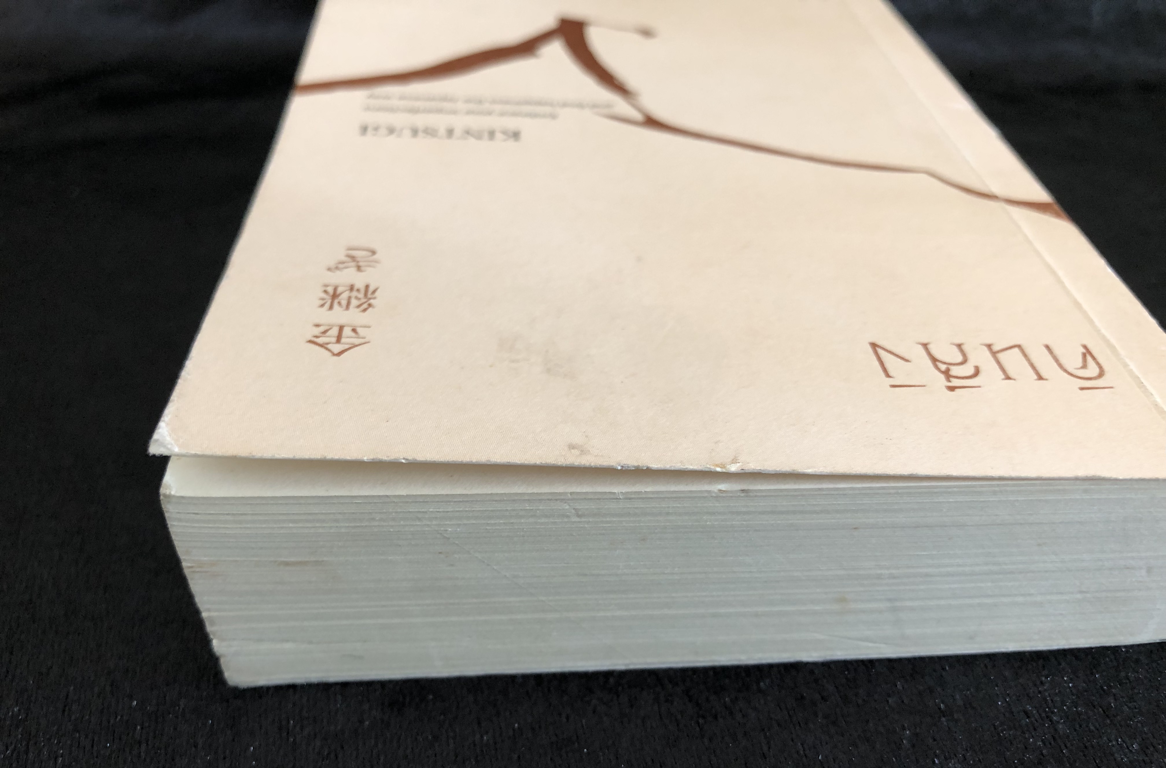 คินสึงิ (KINTSUGI) ความงามของบาดแผลแห่งชีวิต