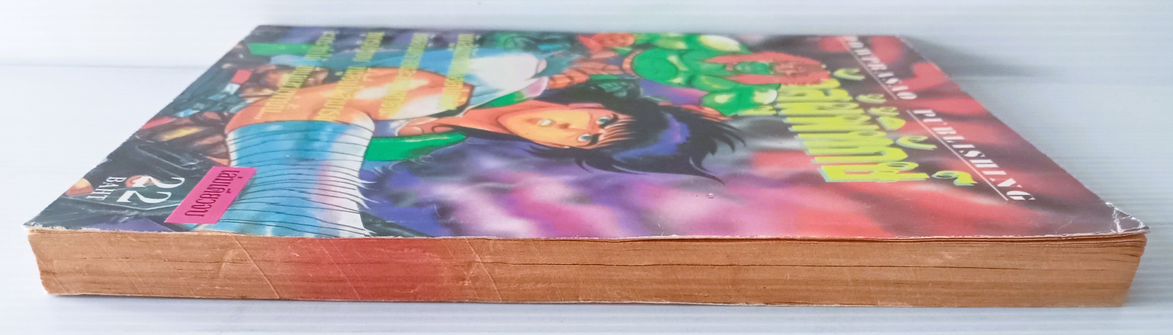 นักสู้ผู้พิทักษ์