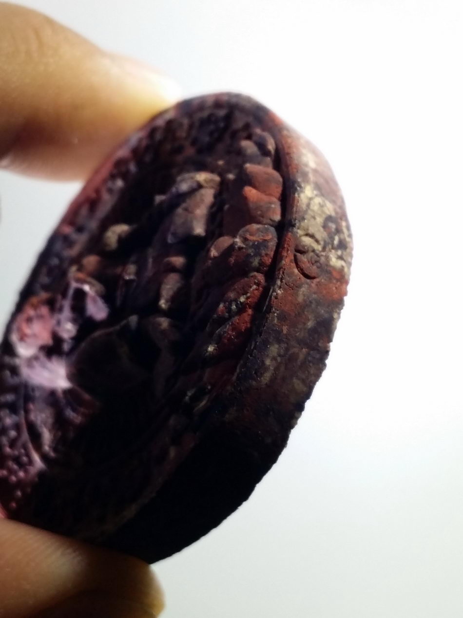 รหัสสินค้า จตุคามรามเทพ 451 องค์จตุคามรามเทพ รุ่นมงคลนวการ 79 เนื้อว่านก้นครก หลวงพ่อฉาบ วัดศรีสาคร อำเภอเมือง จังหวัดสิงห์บุรี สร้างปี 2550