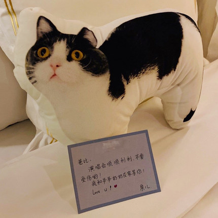 หมอนตุ๊กตาน้องถั่ว แมวของเซียวจ้าน