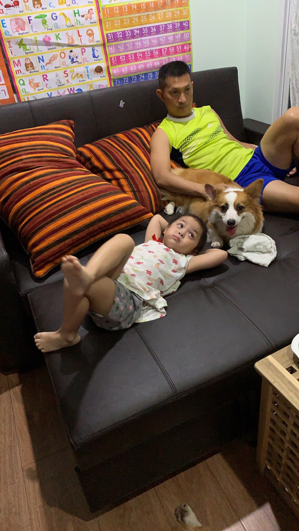 โซฟาเบด Harper 190 cm