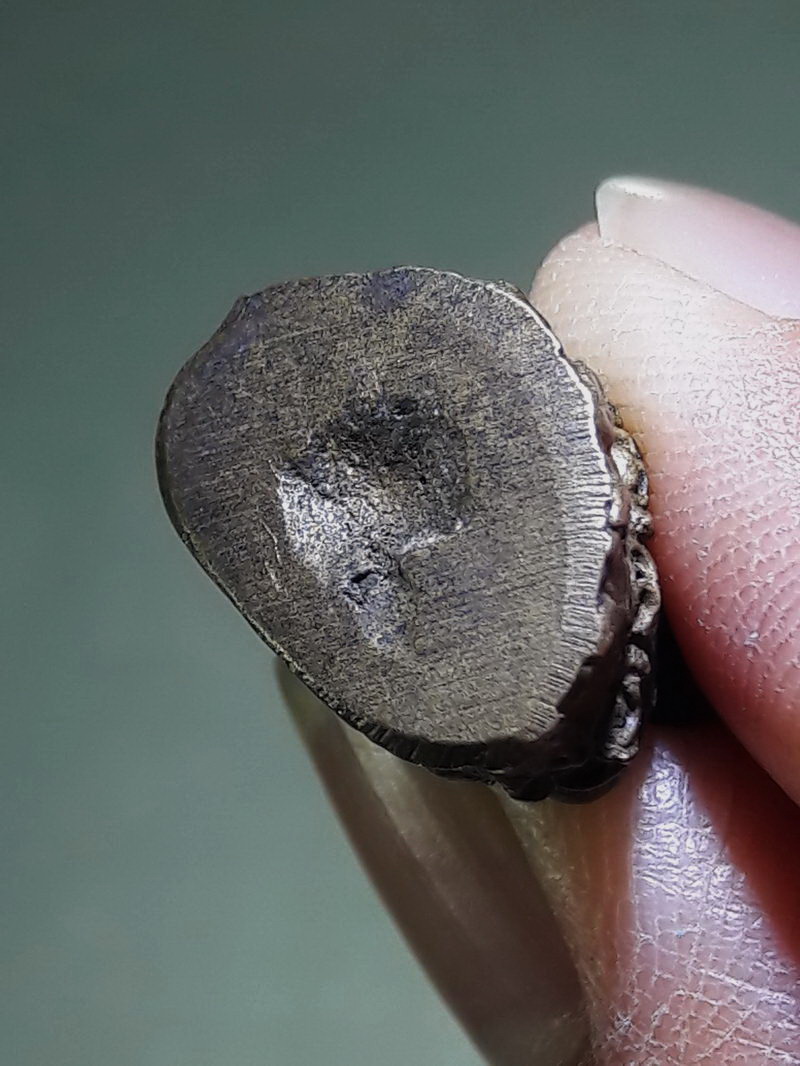 รหัสสินค้า พระกริ่ง พระหล่อ 838 รูปหล่อโบราณ พระอุปคุตเถระ เนื้อทองเหลืองเก่าหล่อตัน ไม่ทราบที่