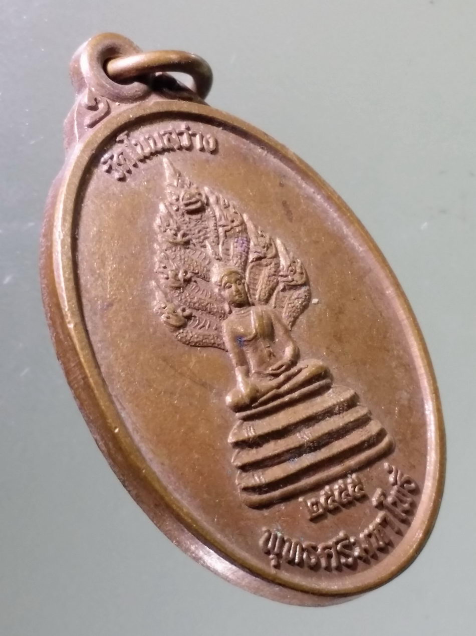 Antig Pim 453 เหรียญพระพุทธศรีมหาโพธิ์ พระนาคปรก หลังพญาช้างนางผมหอม วัดโนนสว่าง บ้านหนองบัว ตำบลภูหอ อำเภอภูหลวง จังหวัดเลย