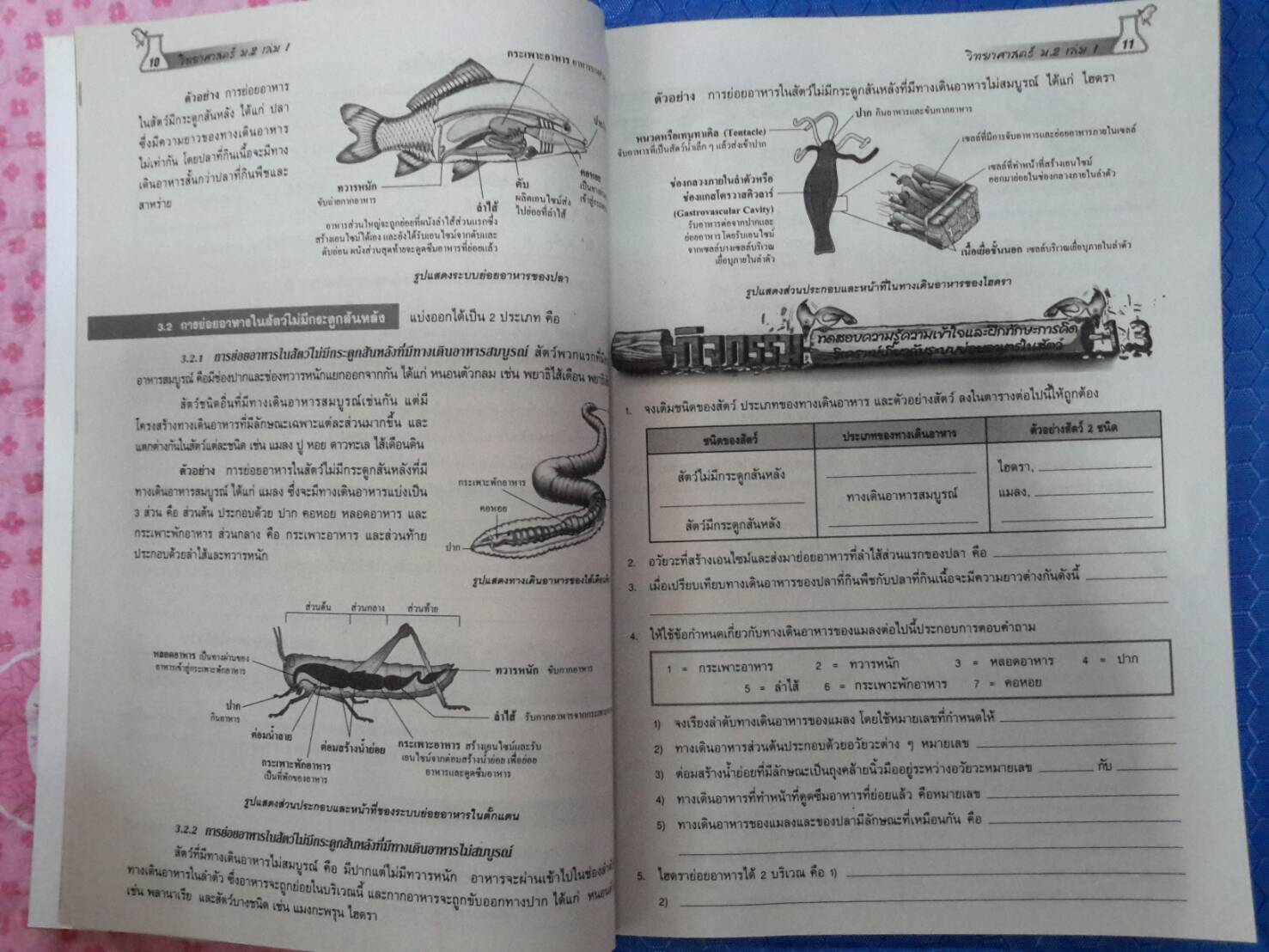 หนังสือสื่อการเรียนรู้และเสริมสร้างทักษะตามมาตรฐานและตัวชี้วัด กลุ่มสาระการเรียนรู้วิทยาศาสตร์ ชั้น ม.2 เล่ม 1 สำนักพิมพ์นิยมวิทยา