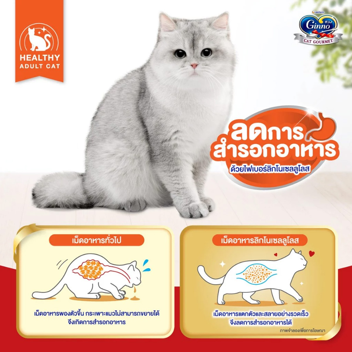 Ginno Dry Health กินโนะ อาหารเม็ดแมวสูตรสุขภาพ ขนาด 360g.