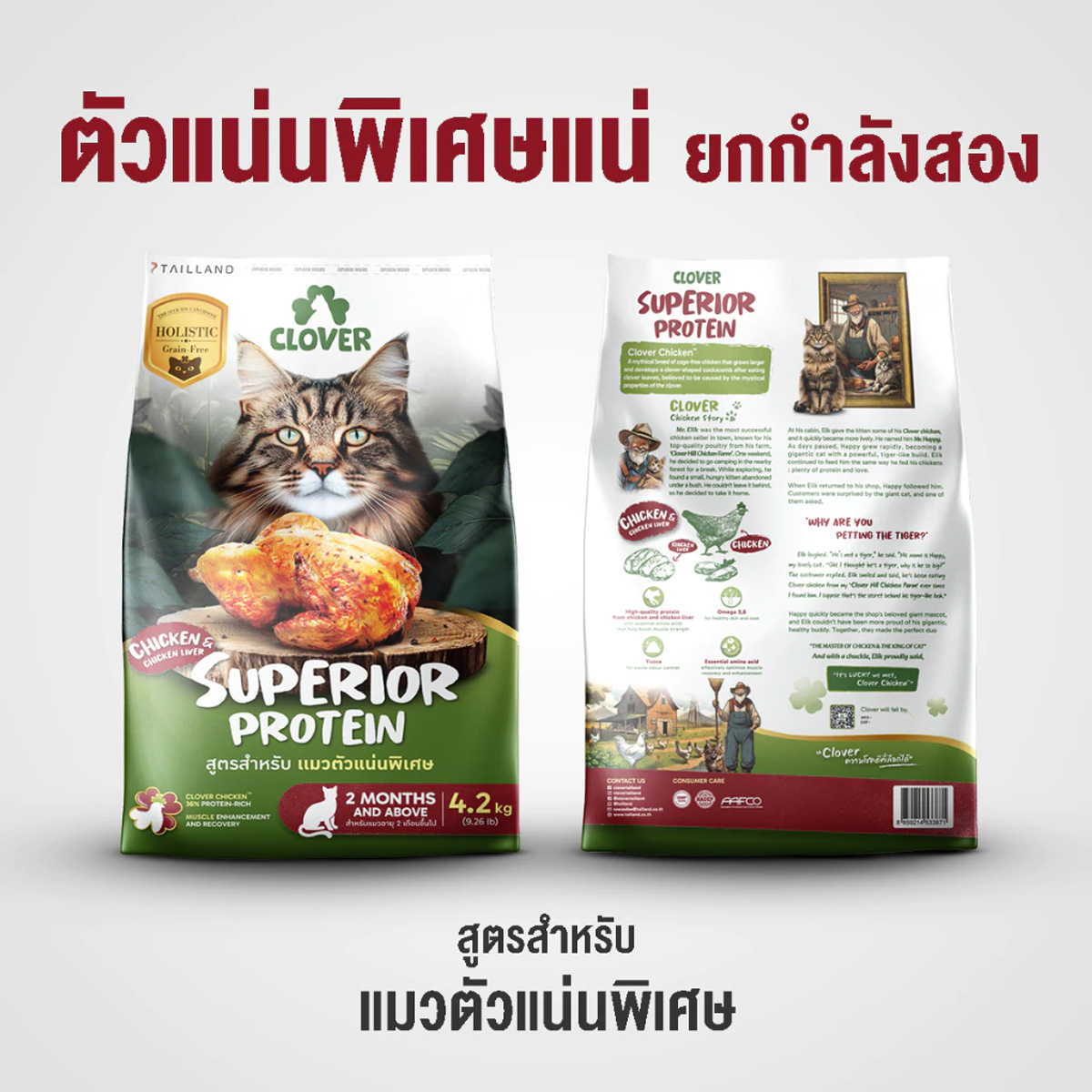 Clover holistic grain-free อาหารแมว อายุตั้งแต่ 2 เดือนขึ้นไป ขนาด 1kg
