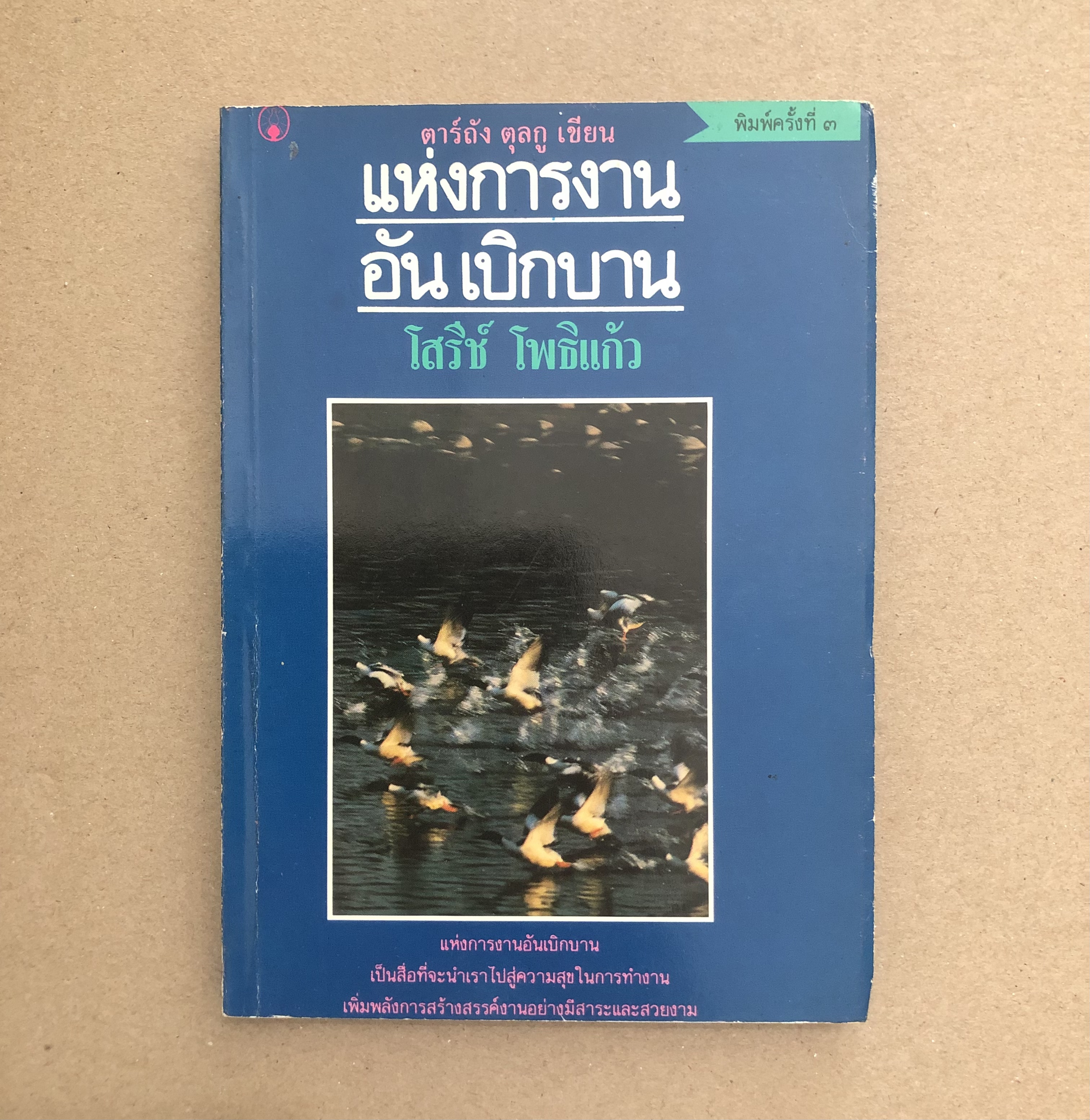 แห่งการงานอันเบิกบาน (Skillful Means)