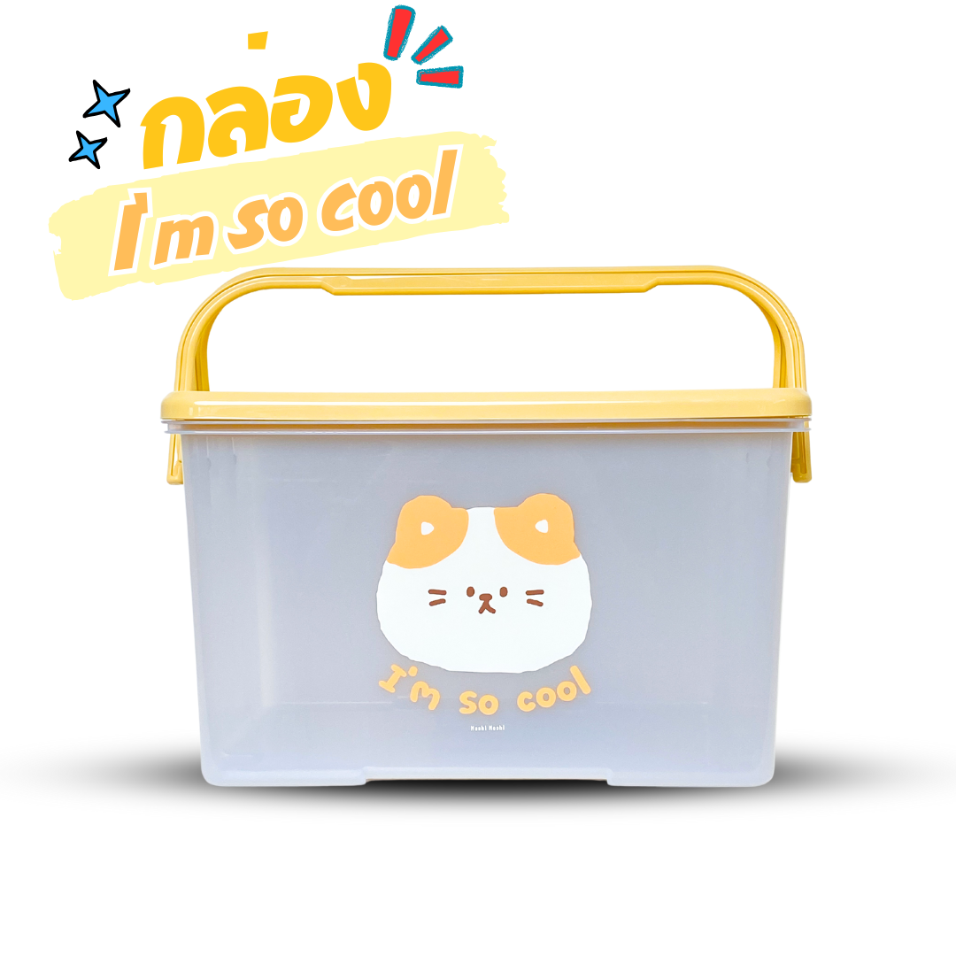 กล่องอเนกประสงค์มีหูหิ้ว กล่องใส่ของเตรียมคลอด ลายการ์ตูนลิขสิทธิ์แท้