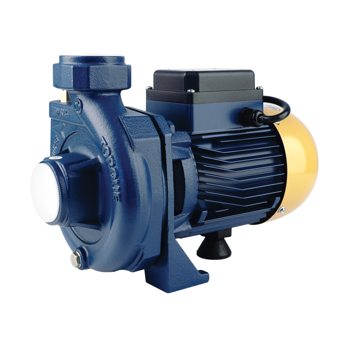 TORQUE ปั๊มน้ำหอยโข่งไฟฟ้า TRQ100