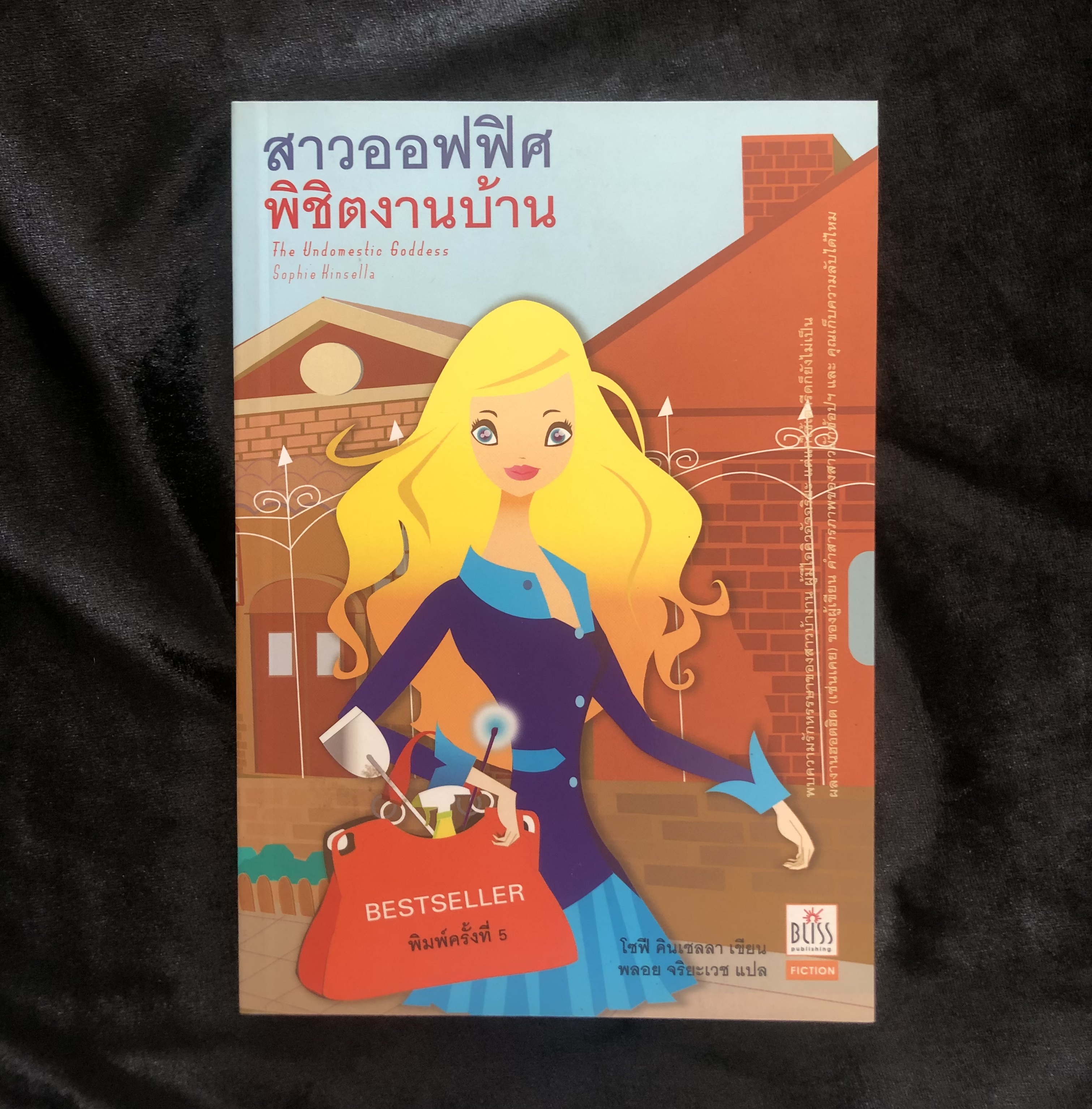 สาวออฟฟิศ พิชิตงานบ้าน (THE UNDOMESTIC GODDESS)