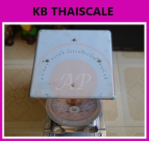 เครื่อง ตราฝาแฝด ชั่งสปริงสแตนเลส 2 หน้า เครื่องชั่ง60กิโลกรัม เครื่องชั่งน้ำหนัก60กิโล เครื่องชั่งสปริง60กิโล เครื่องชั่งน้ำหนัก60kg เครื่องชั่งน้ำหนักตั้งโต๊ะ60kg ตาชั่ง60kg ละเอียด200g จานแบน