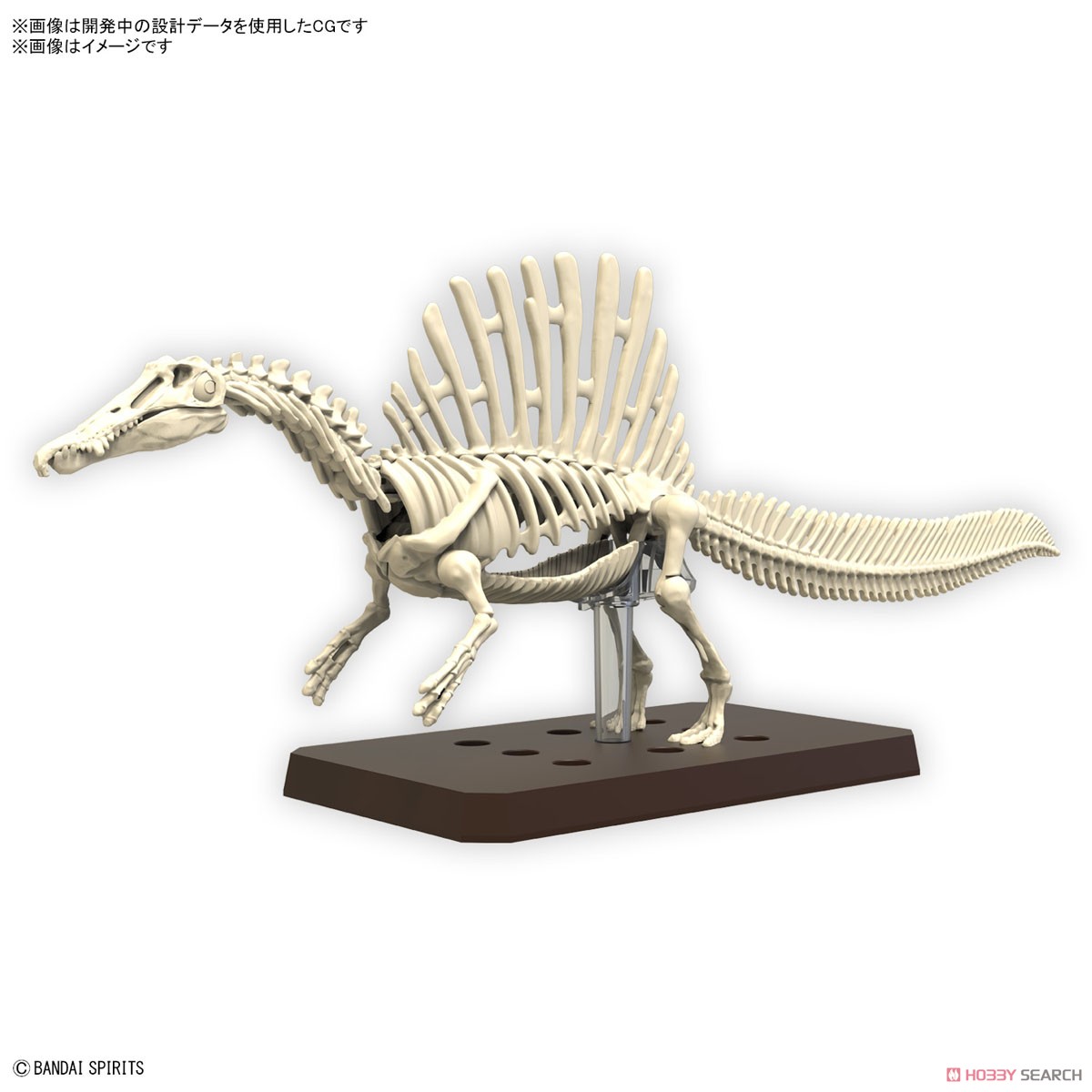 <Preorder ปิดรับวันที่ 2/4/2023> 🔔เปิดรับPreorderไม่ต้ดงมัดจำ Planosaurus Spinosaurus (Plastic model)