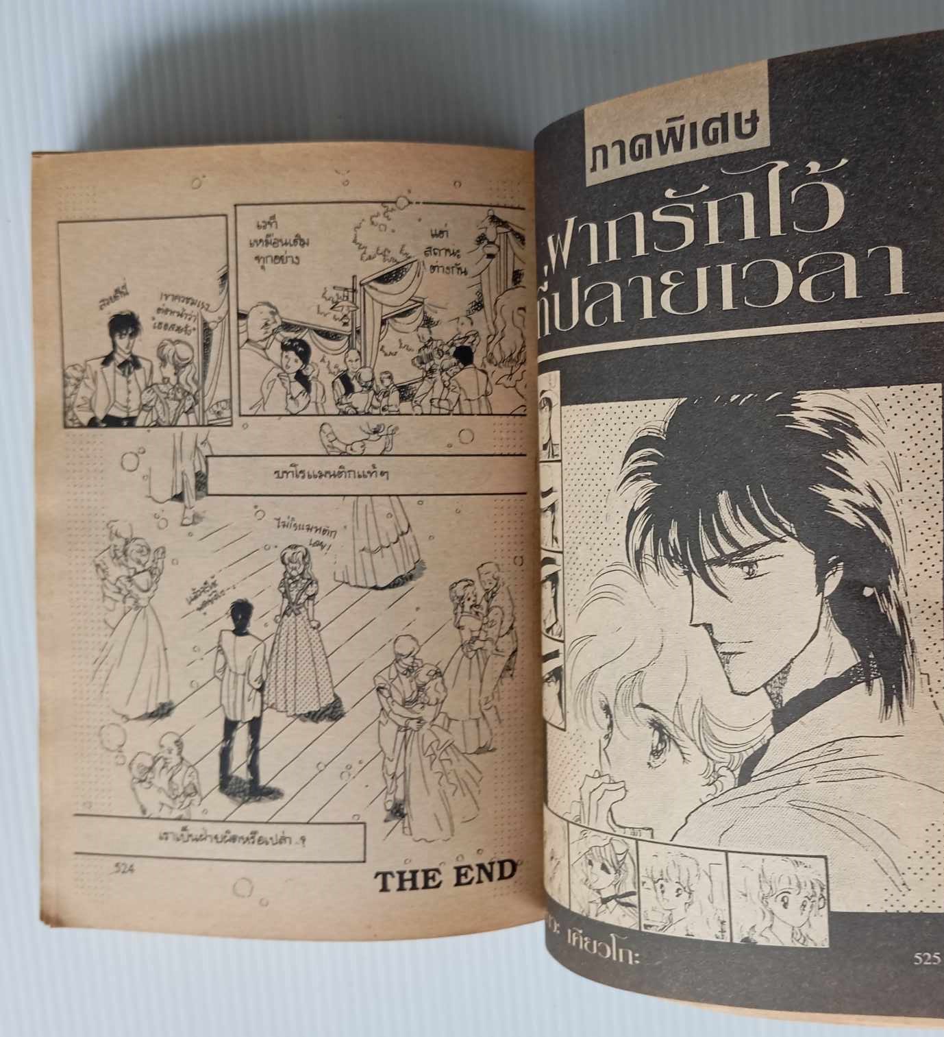 ฝากรักไว้ที่ปลายฟ้า