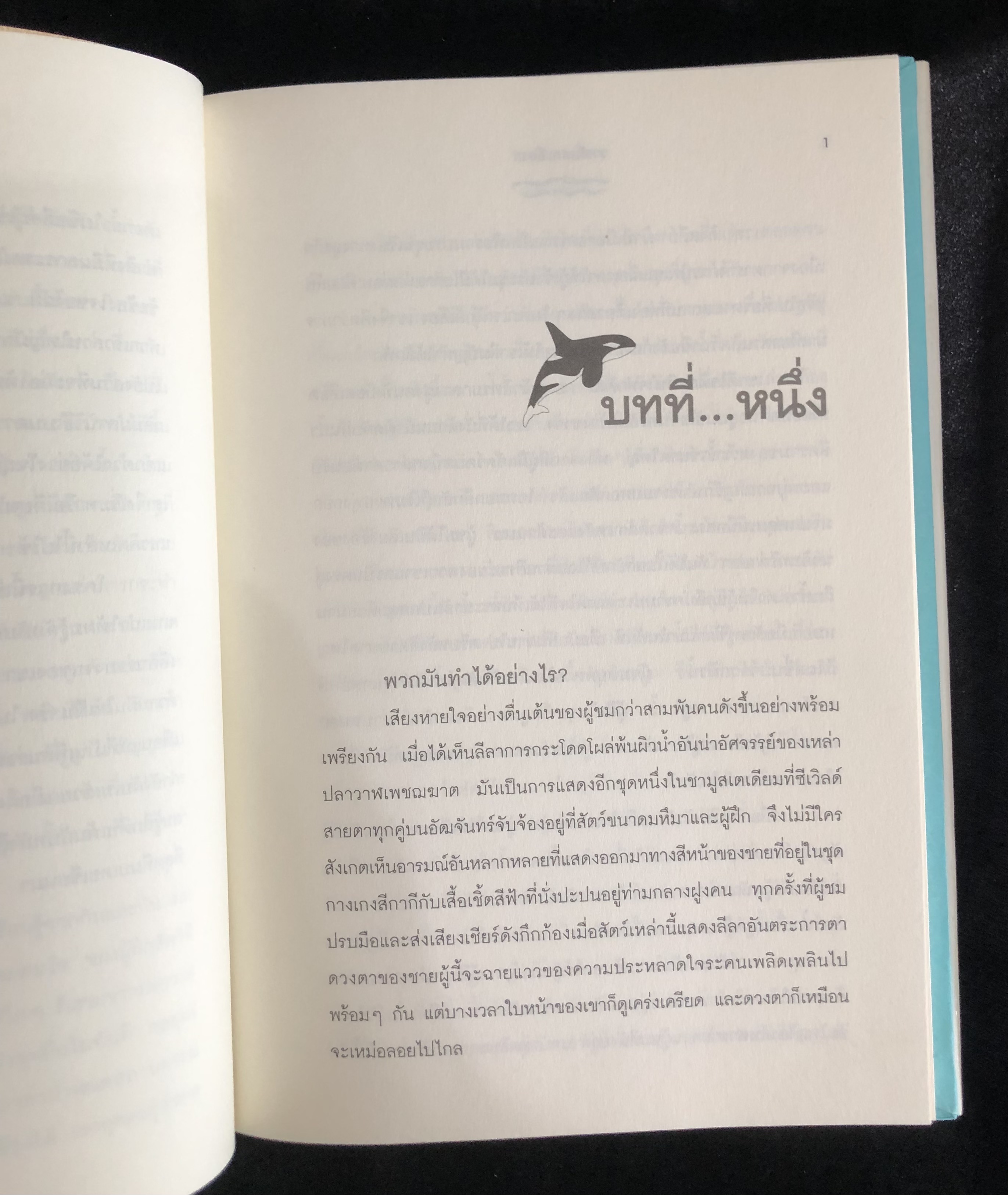 วาฬบอกเยี่ยม! พลังแห่งสัมพันธภาพด้านบวก (Whale Done!)