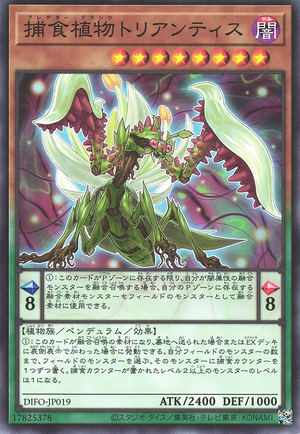DIFO-JP019 Predaplant Triantis