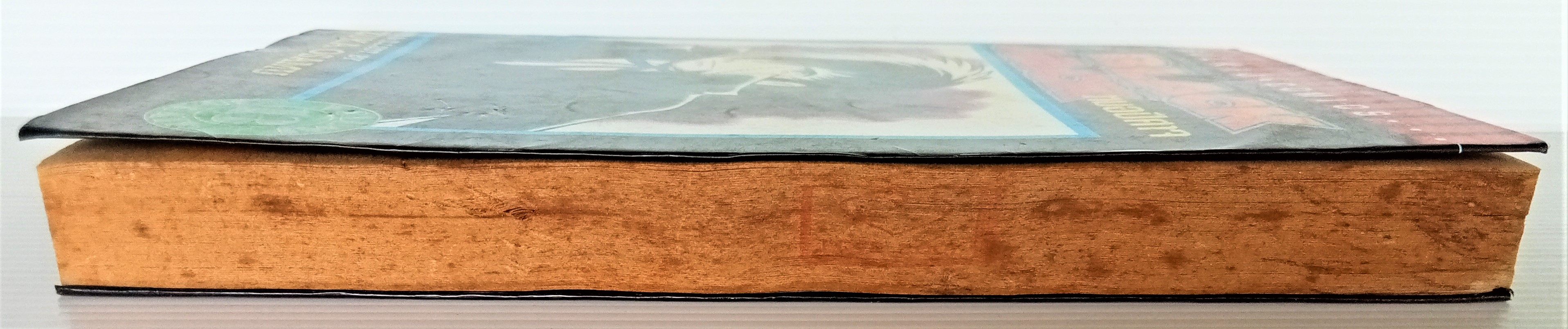 Black Jack เล่ม 13