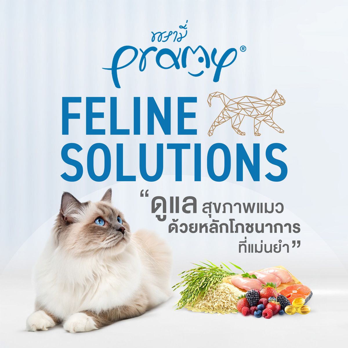 Pramy อาหารแมว สูตรเฉพาะทาง [URINARY / HAIRBALL / SKIN & COAT] พัฒนาโดยสัตวแพทย์ ไก่สด แซลมอน ข้าวกล้อง ดูแลสุขภาพครบ ขนาด 2.3kg