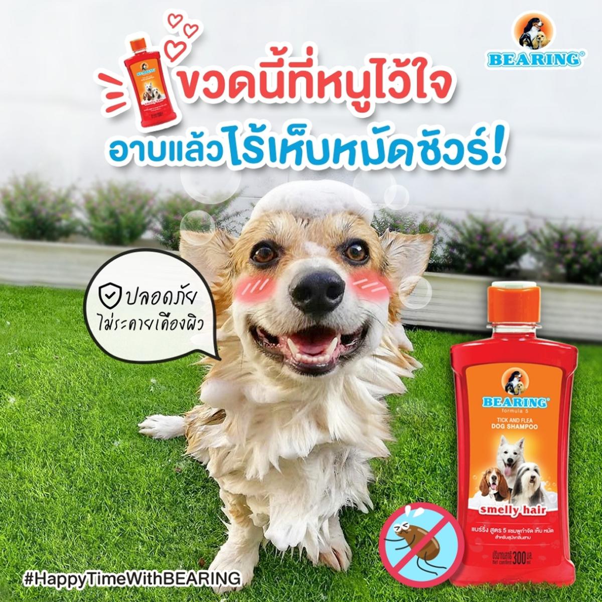 Bearing แชมพูสุนัข แชมพูกำจัด เห็บ หมัด ขนาด 300 ML