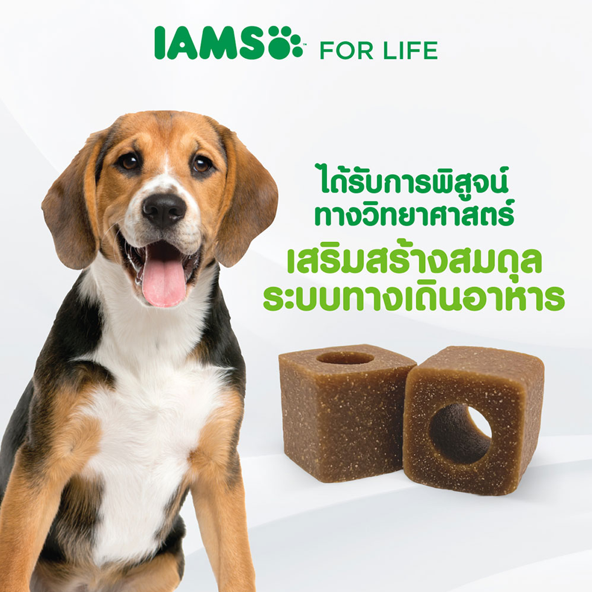 IAMS ไอแอมส์ อาหารเสริมสุนัข - อาหารเสริมเคี้ยวได้ ขนาด 168 G