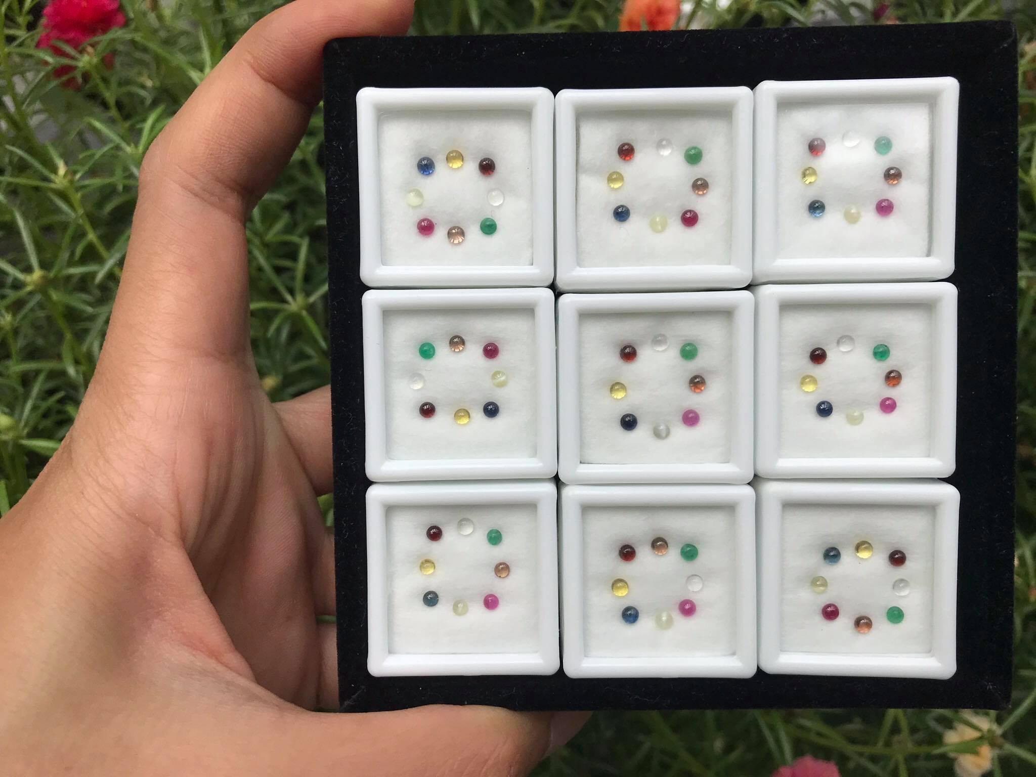 นพเก้าหลังเบี้ย 2.5 มม. 1 ชุด