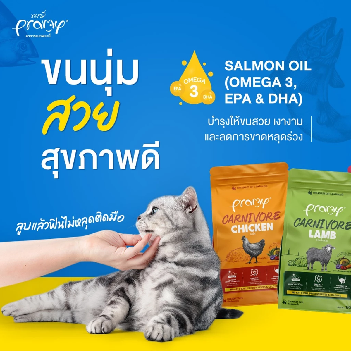 Pramy Carnivore อาหารเม็ดแมวพรามี่ สูตรเน้นเนื้อแท้ โปรตีนสูง เสริมสร้างสุขภาพแบบรอบด้าน ขนาด 1kg สำเนา