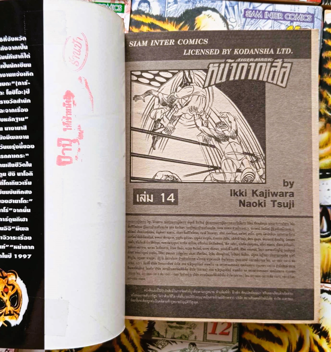 หน้ากากเสือ