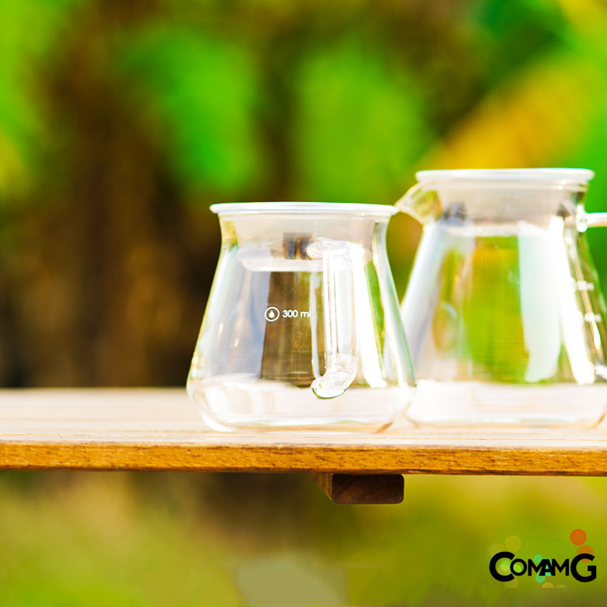 เหยือกแก้ว ถ้วยดริปกาแฟ เหยือกดริปกาแฟ Coffee Server โถดริปกาแฟ