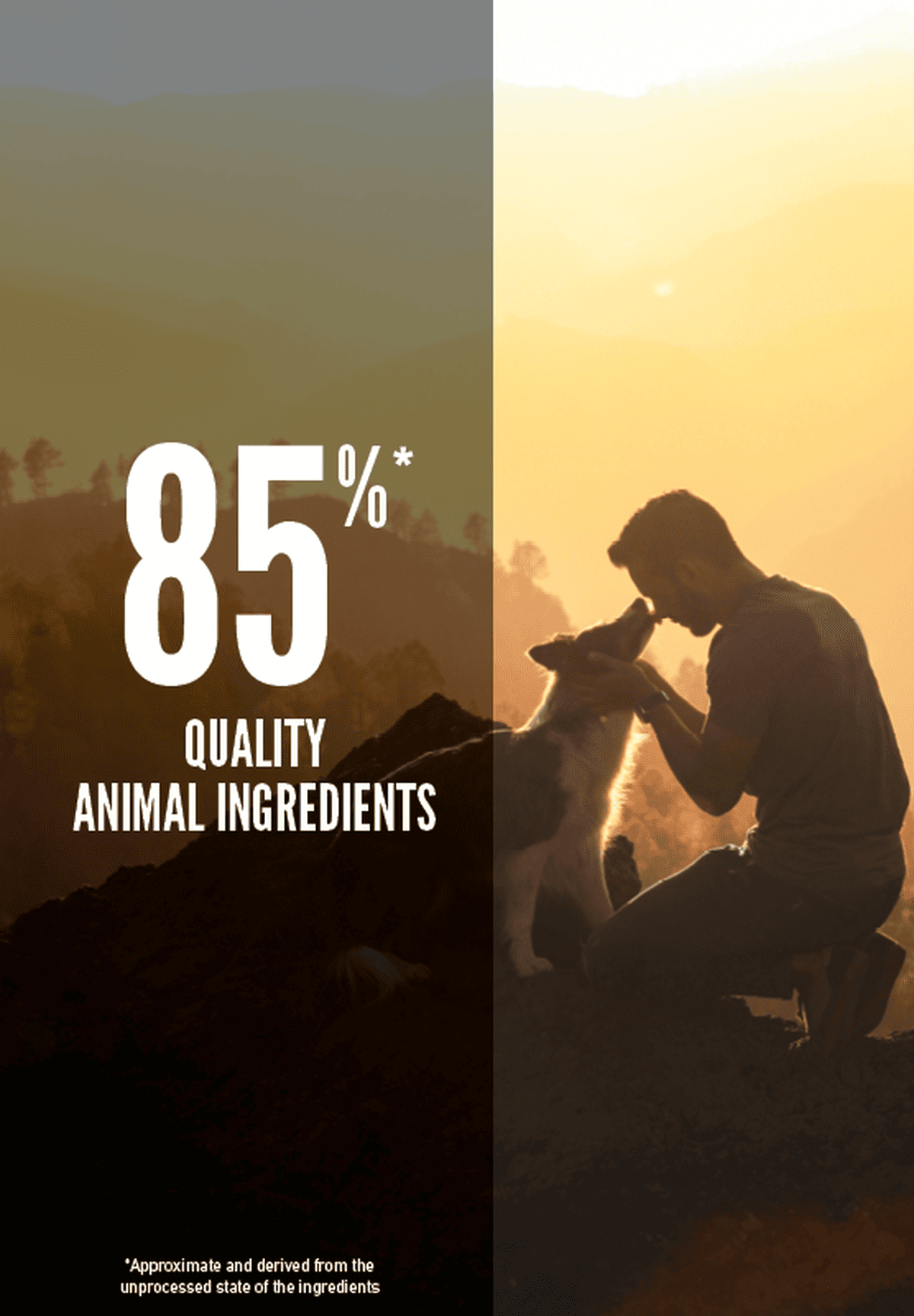 ORIJEN Small Breed Marine Fish อาหารสุนัขพันธุ์เล็ก ทุกช่วงวัย สูตรปลาทะเล ขนาด 1.8kg