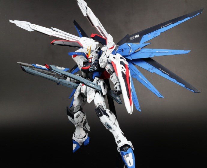 [Daban] MG 1/100 6650 ZGM F-X10A Freedom2.0