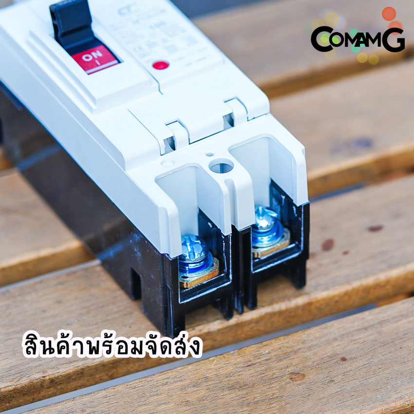 CT Electric เบรกเกอร์ โมเคสเมนเบรกเกอร์ 2เฟส No Fuse Breaker