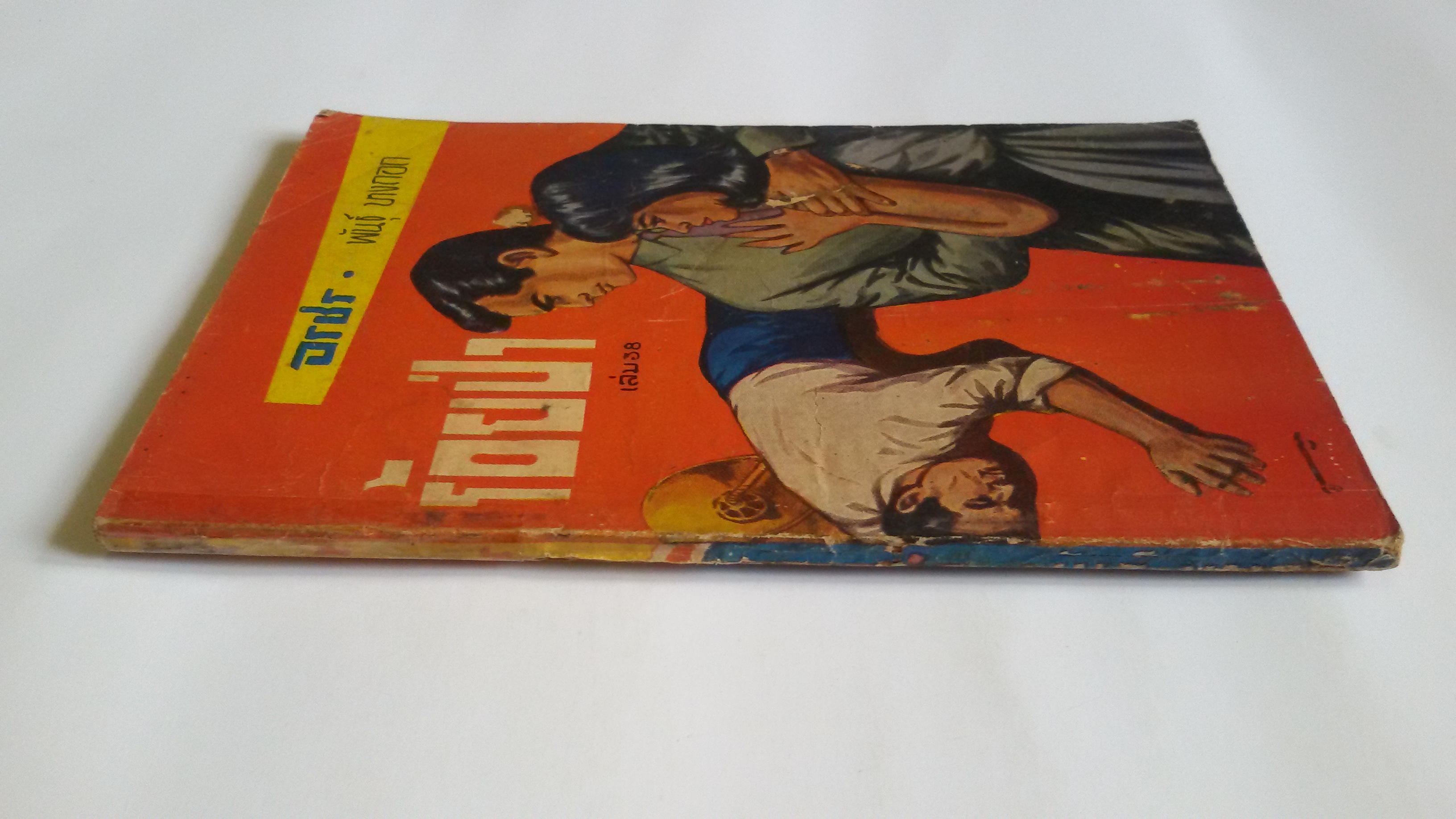 ร้อยป่า เล่ม38