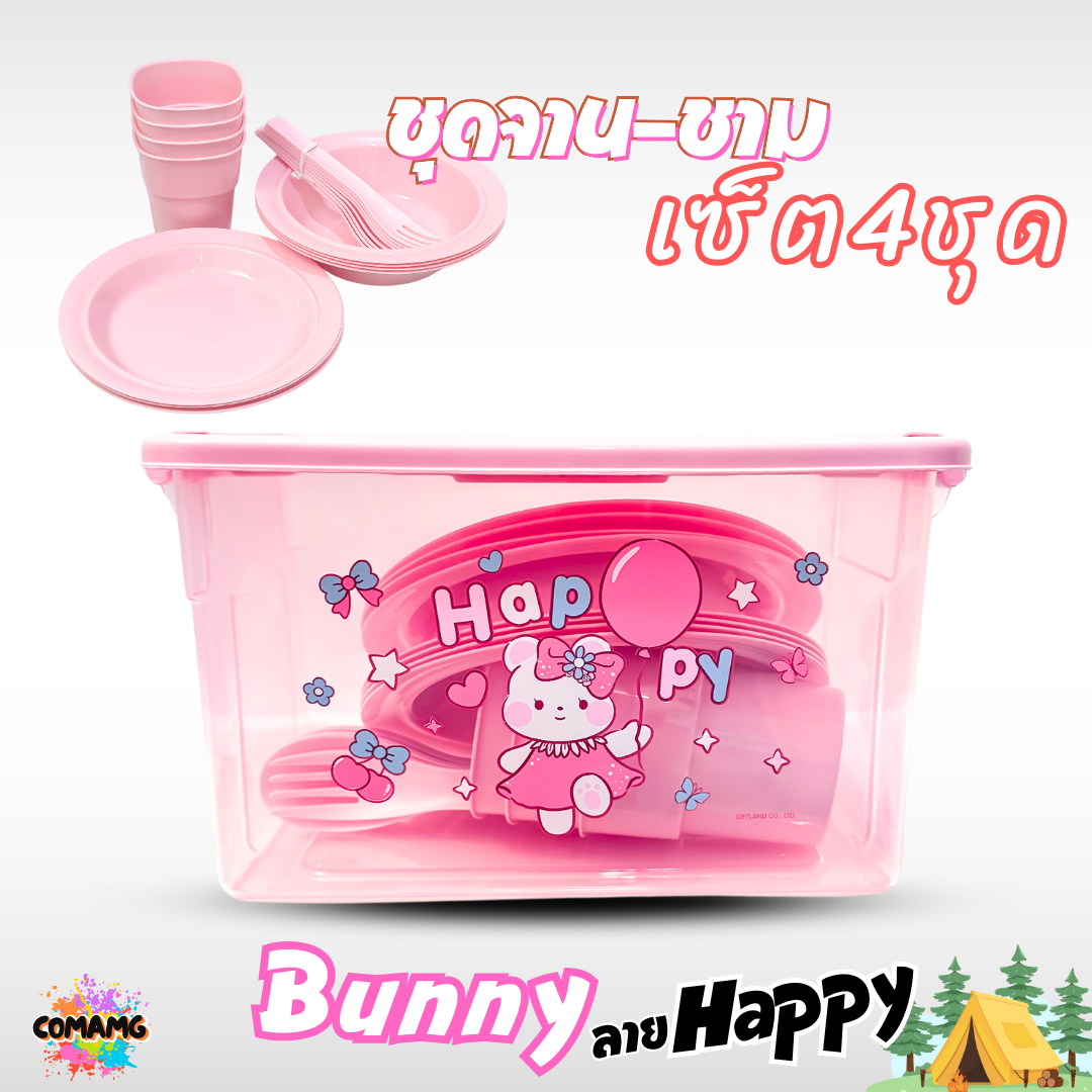 เซ็ตจานชามปิคนิค ชุดปิคนิค พร้อมกล่องใส่หูหิ้วพกพา ลายลิขสิทธิ์แท้
