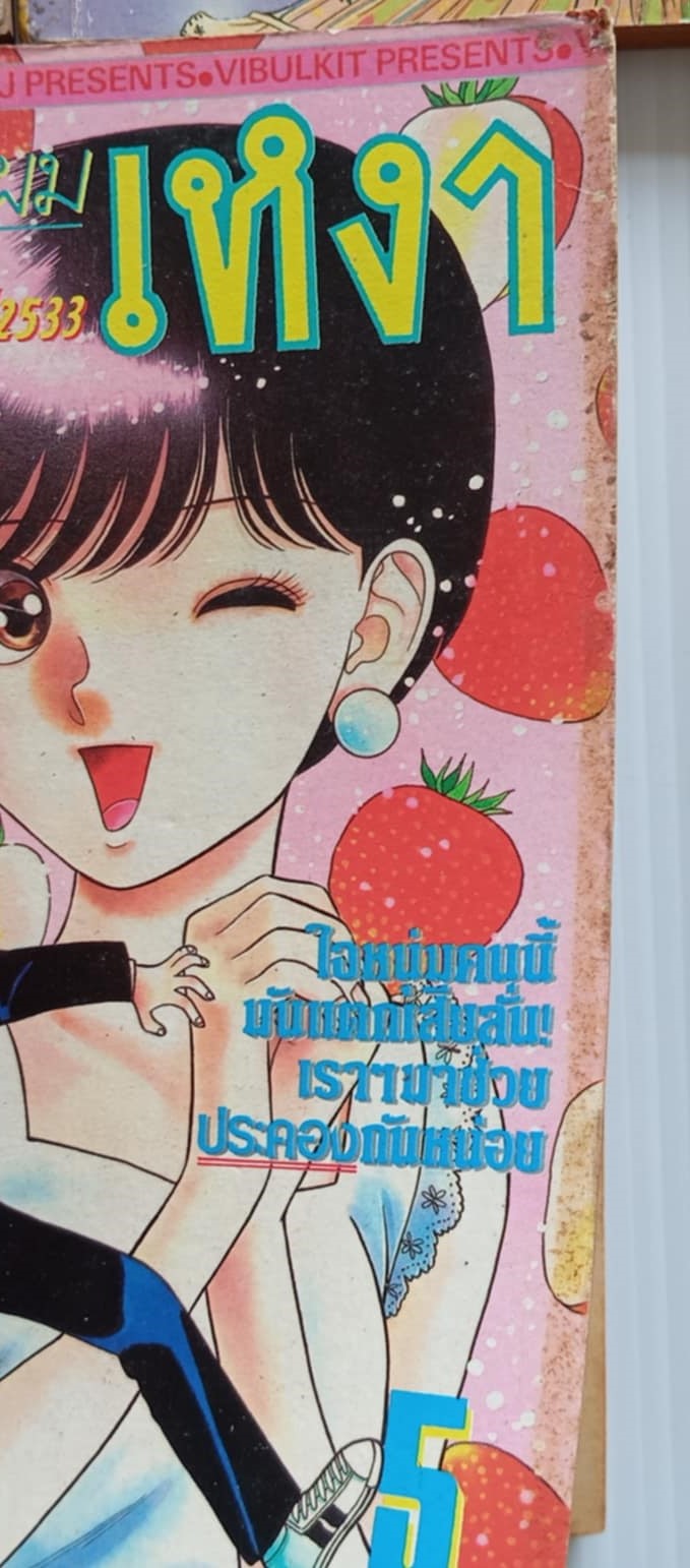 คุณแม่ครับผมเหงา