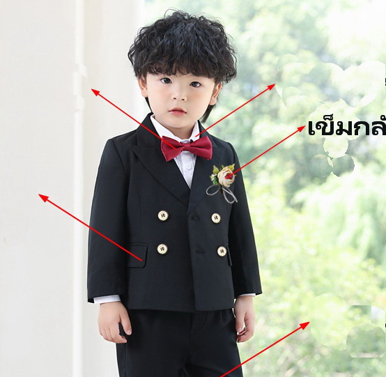 Bas9999- ฺBas-เข็มกลัดประดับ เข็มกลัดประดับตกแต่งชุดสูท ประดับชุดให้ดูหรูหรามีสไตล์ มีหลายแบบ หลายสี ใช้กับชุดทุกไซส์ ตั้งแต่ #80-#90-#100-#110-#120-#130-#140-#150-#160-#170-