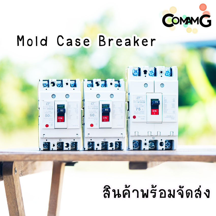CT Electric เบรกเกอร์ โมเคสเมนเบรกเกอร์ 3เฟส No Fuse Breaker