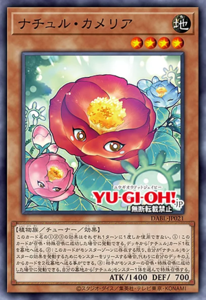 DABL-JP021 Naturia Camellia