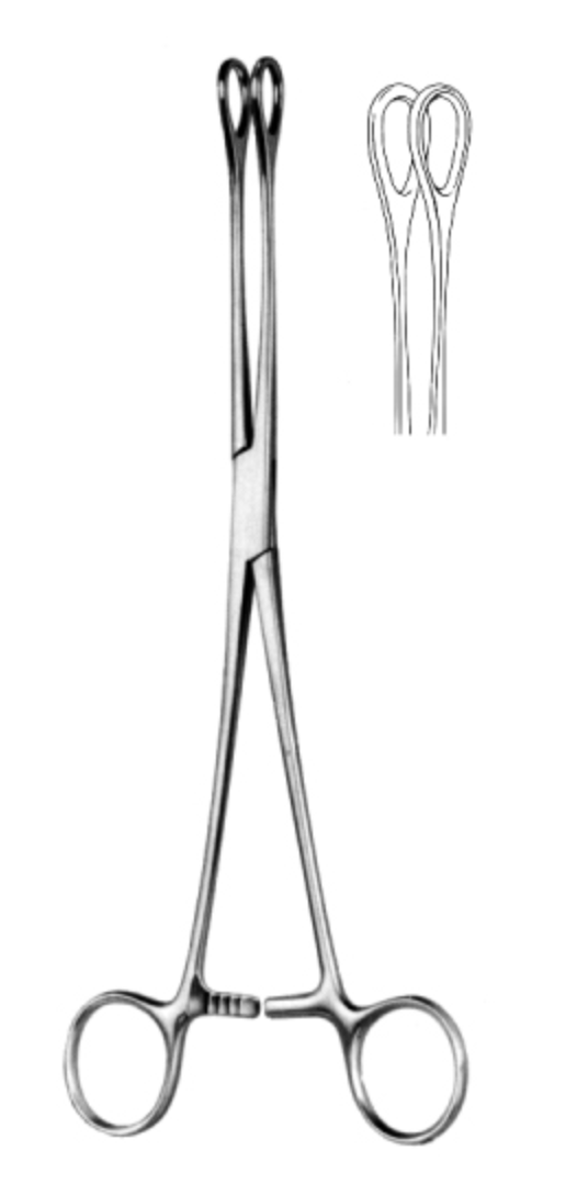 Foerster Sponge Holding Fcps str 25cm