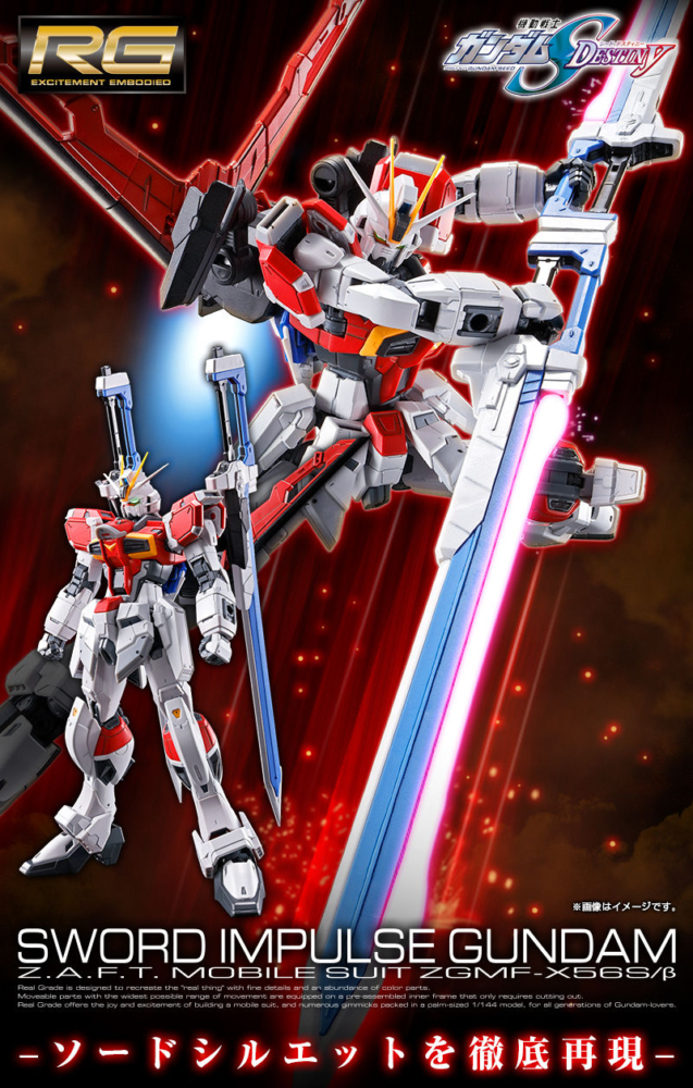 เปิดรับPreorder มัดจำ 500 บาท P-bandai RG 1/144 Sword Impulse Gundam โมเดลประกอบ